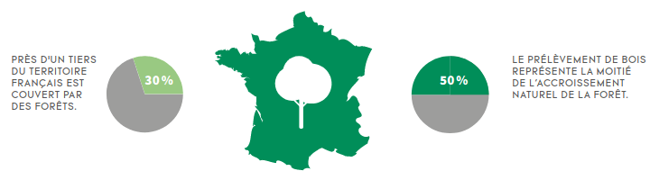 deforestation.png